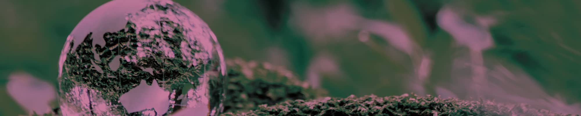 バースシティ・ザ・マーク宮前平サウス